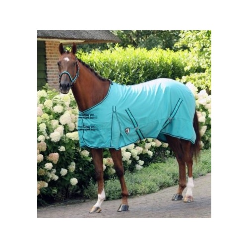 Horka Summer Rug