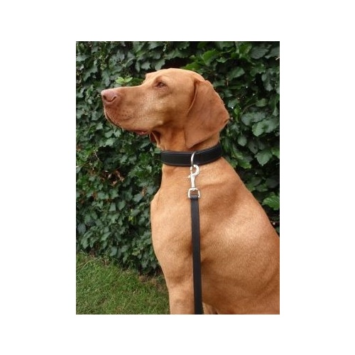 Horka Leather Dog Collar