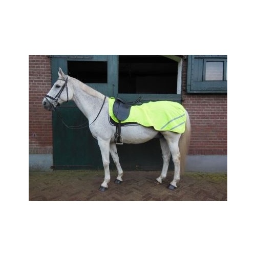 Horka Fleece Lined Reflective Exercise Rug