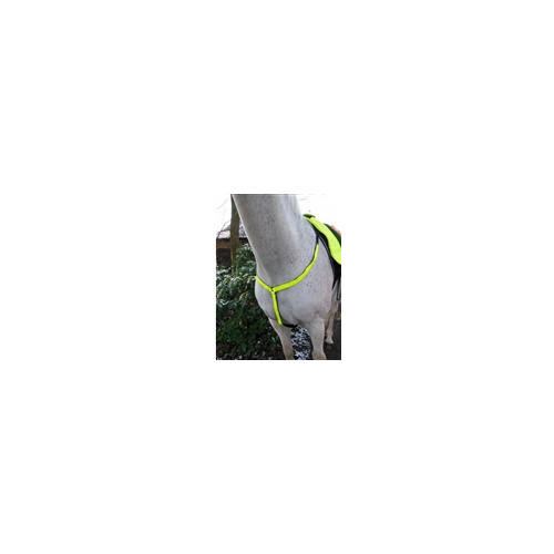 Horka Reflective Breastplate