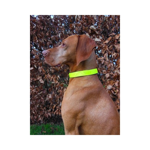 Horka Reflective Dog Collar