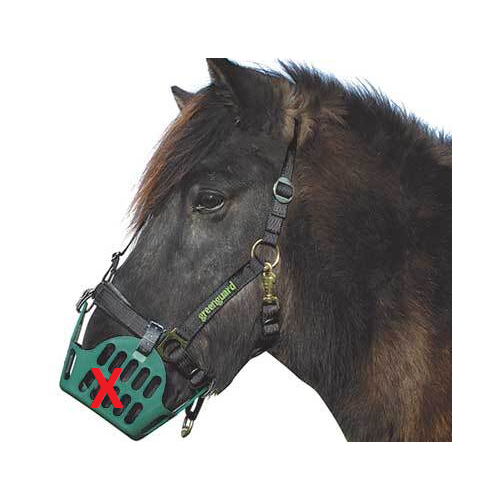 Greenguard Breakaway Halter