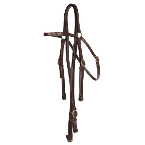 WHE Aussie Barcoo with reins