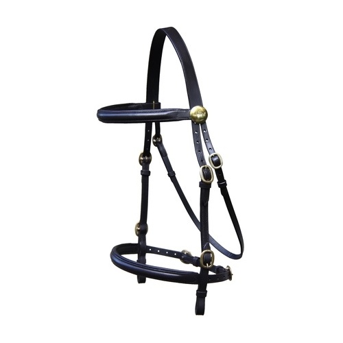WHE Raised In-Hand Bridle