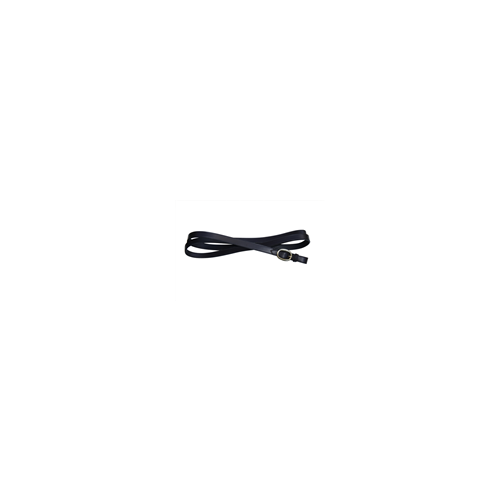 WHE Leather Lead with Brass Swage Buckle