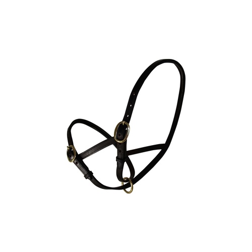 WHE Leather Figure 8 Foal Slip