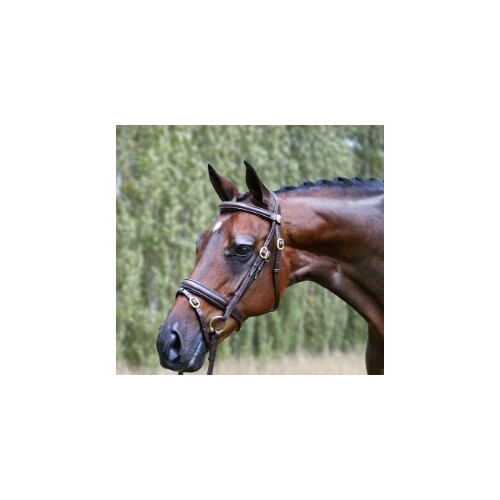 WHE Imperial Collection Classic Work  Bridle