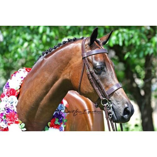 White Horse Equestrian Imperial Collection Hunter Weymouth Bridle